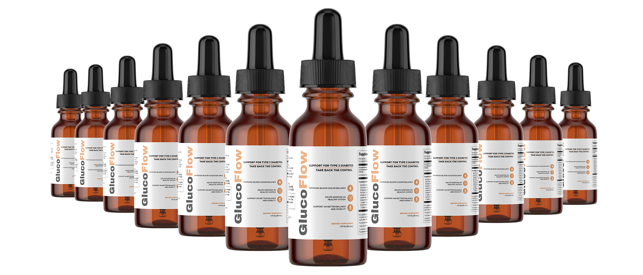 GlucoFlow 12-month membership